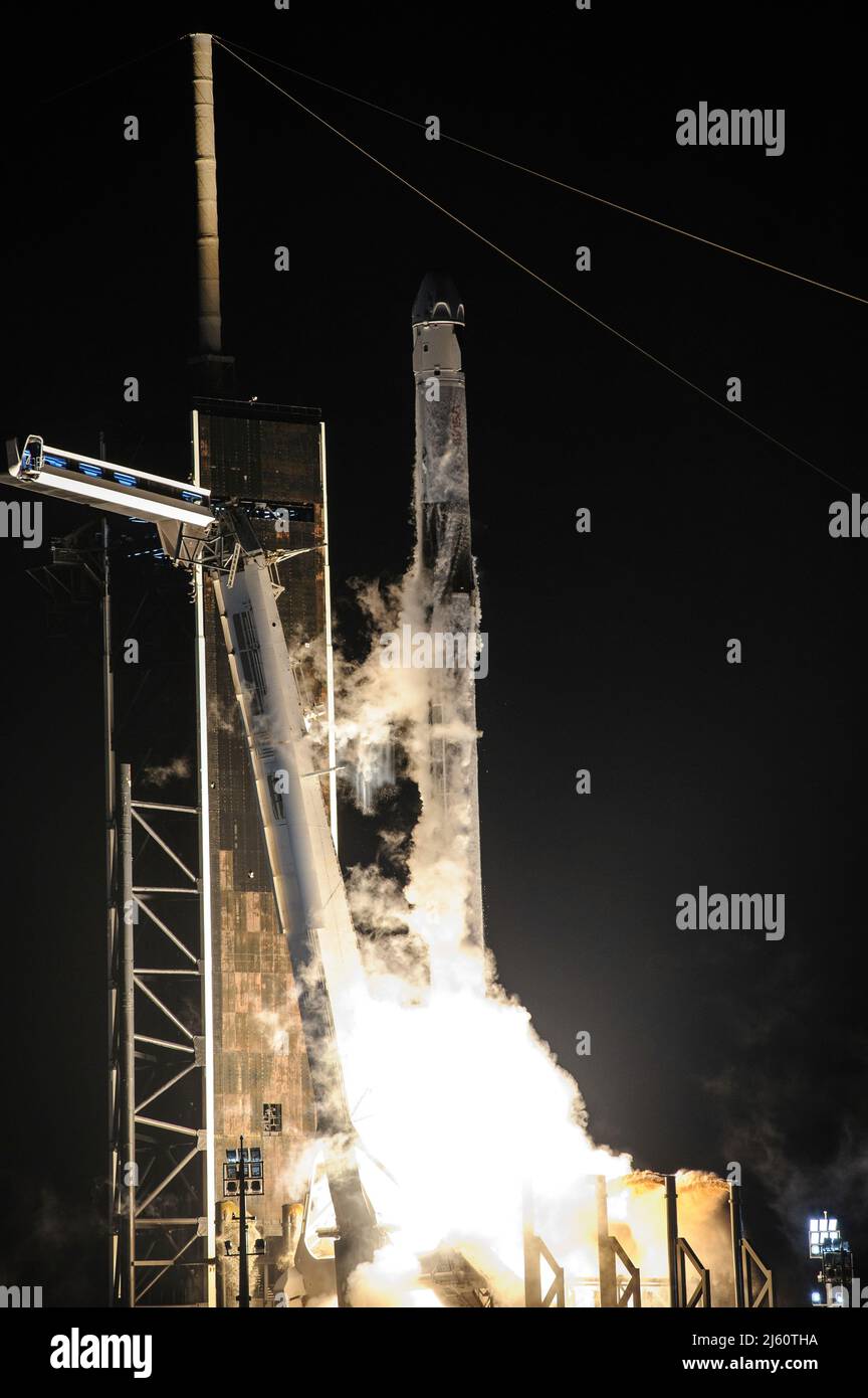 SpaceX Crew3 launch Stock Photo Alamy