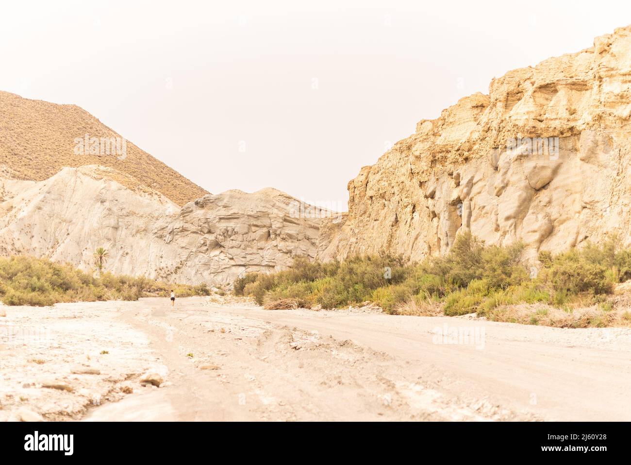Anonymous person on sandy desert road near mountains Stock Photo