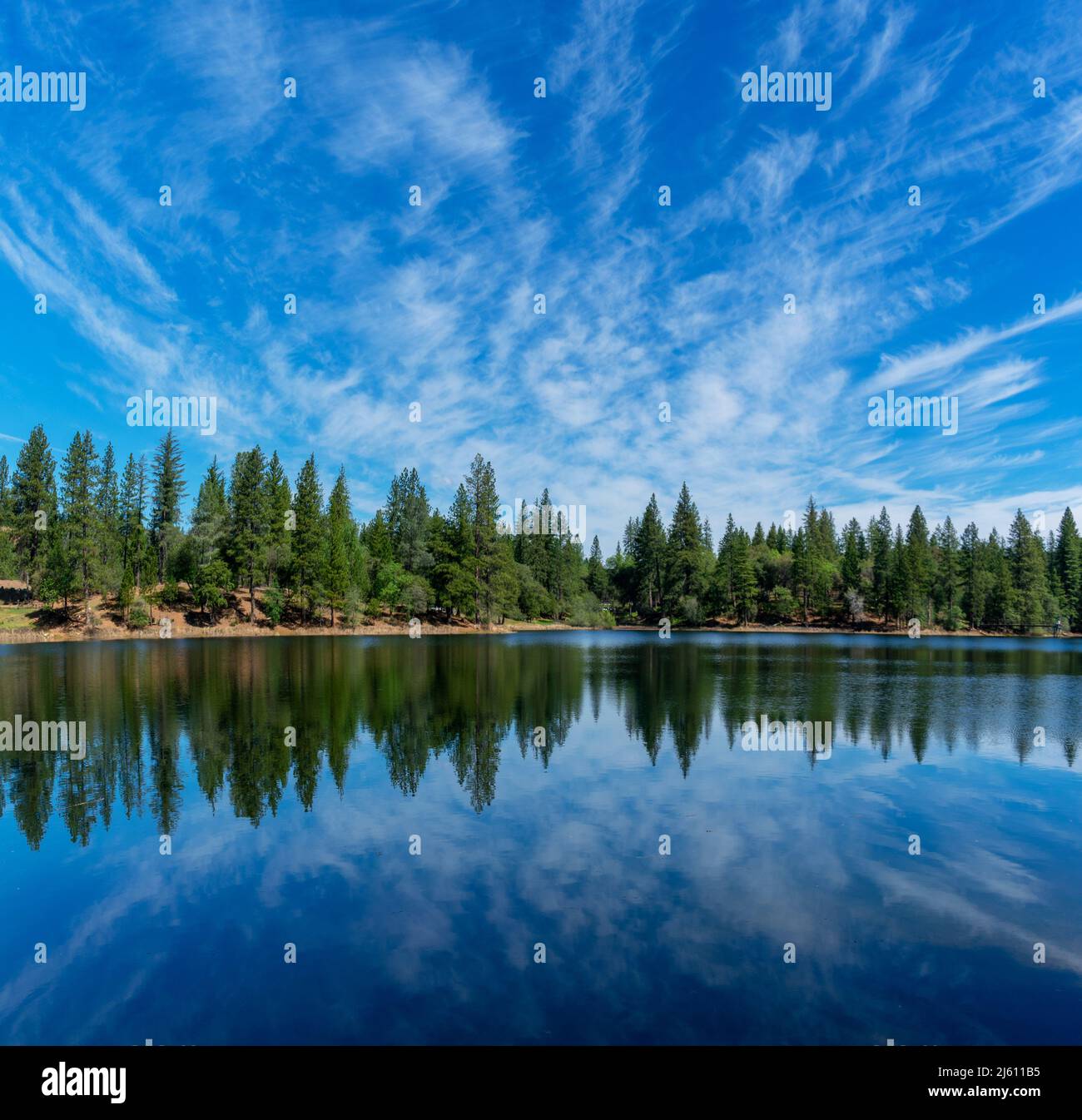 Panoramic scenic view of Lake Tabeaud surrounded by pine and cedar trees under beautiful blue sky. Stock Photo