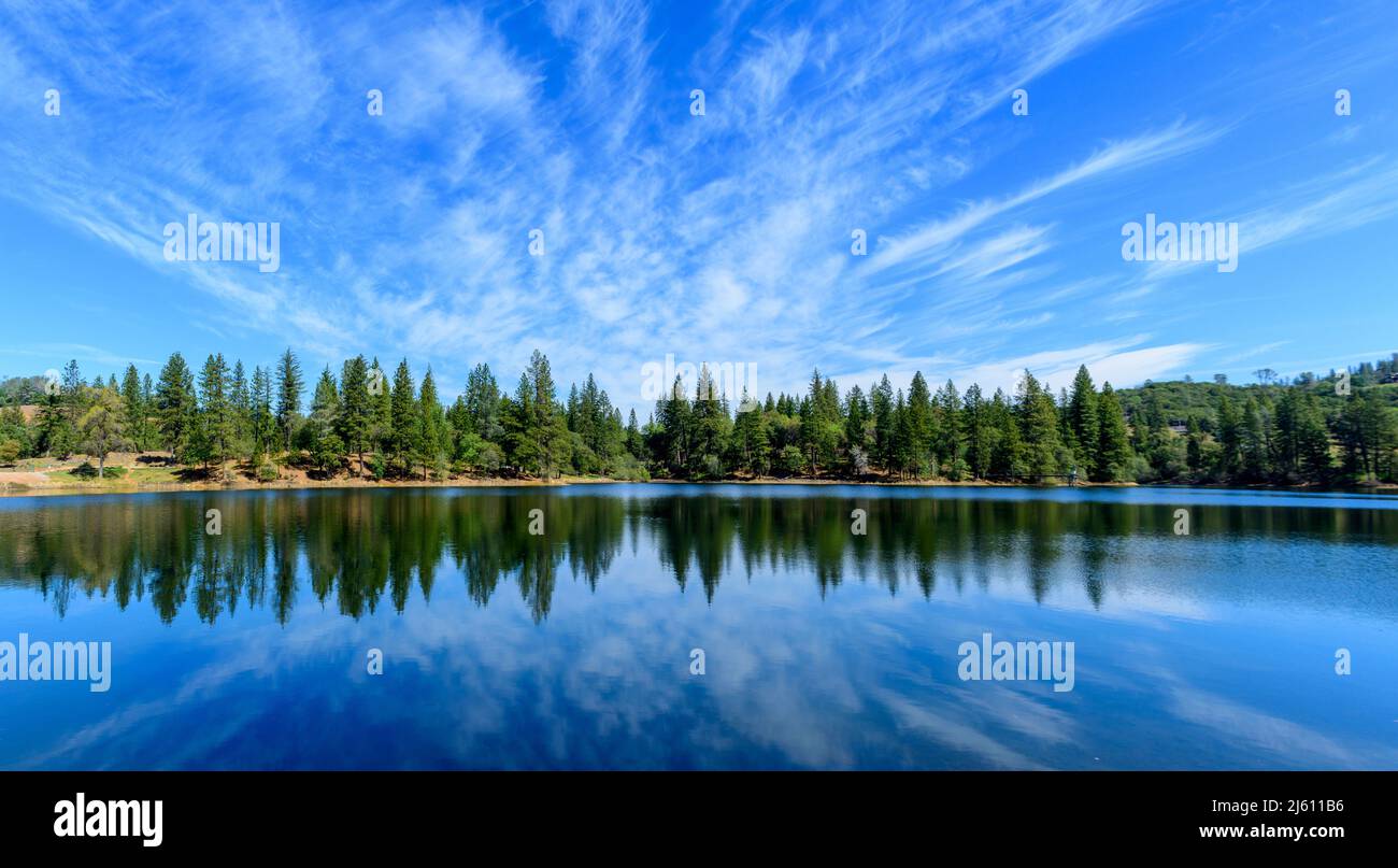 Panoramic scenic view of Lake Tabeaud surrounded by pine and cedar trees under beautiful blue sky. Stock Photo