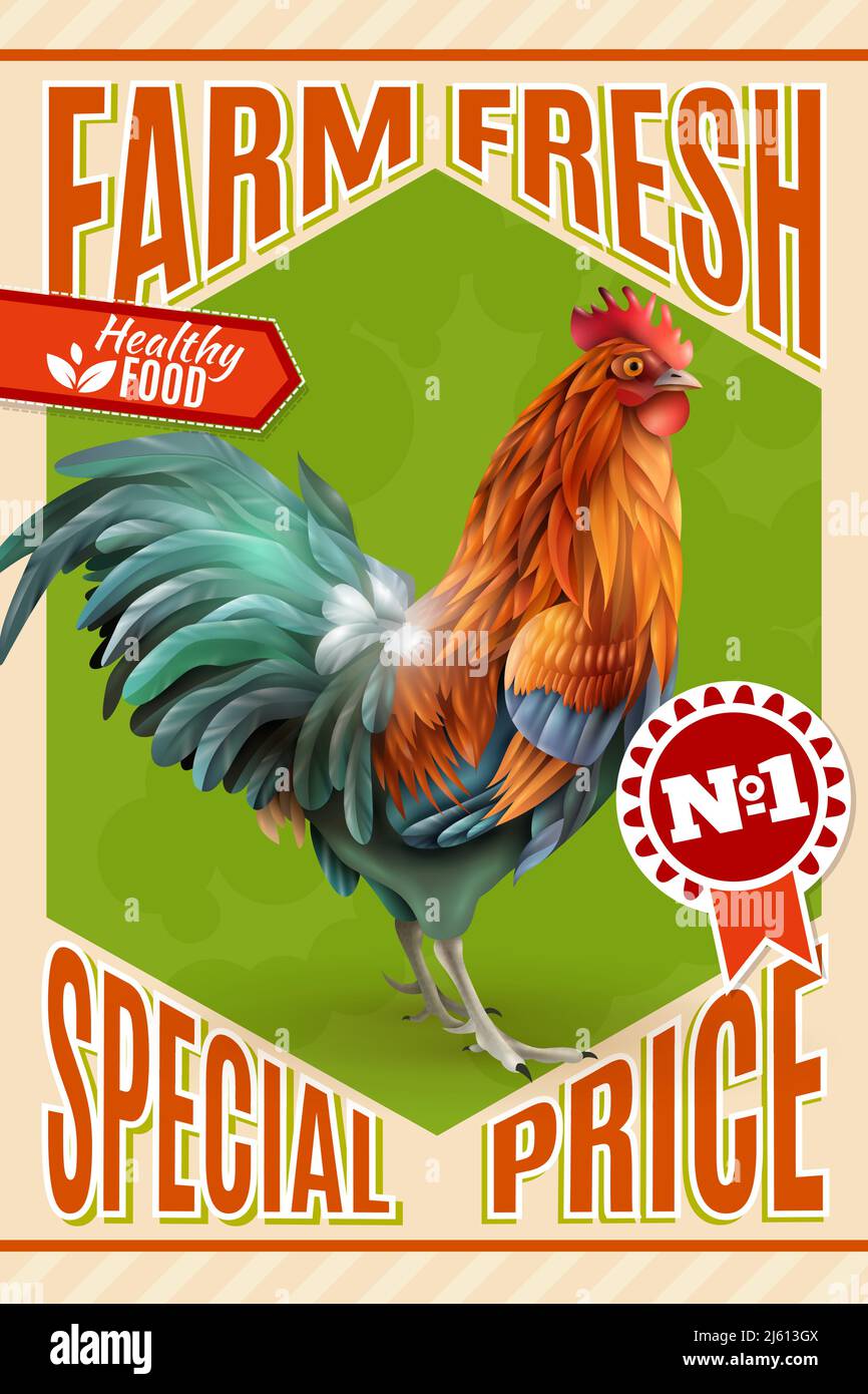 Healthy organic poultry meat sale and roosters for breeding farm market