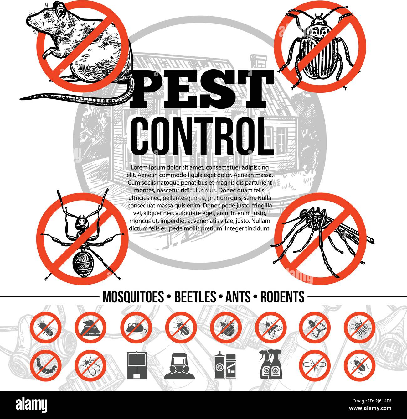 Pest control infographics with icons of insects rat and means of