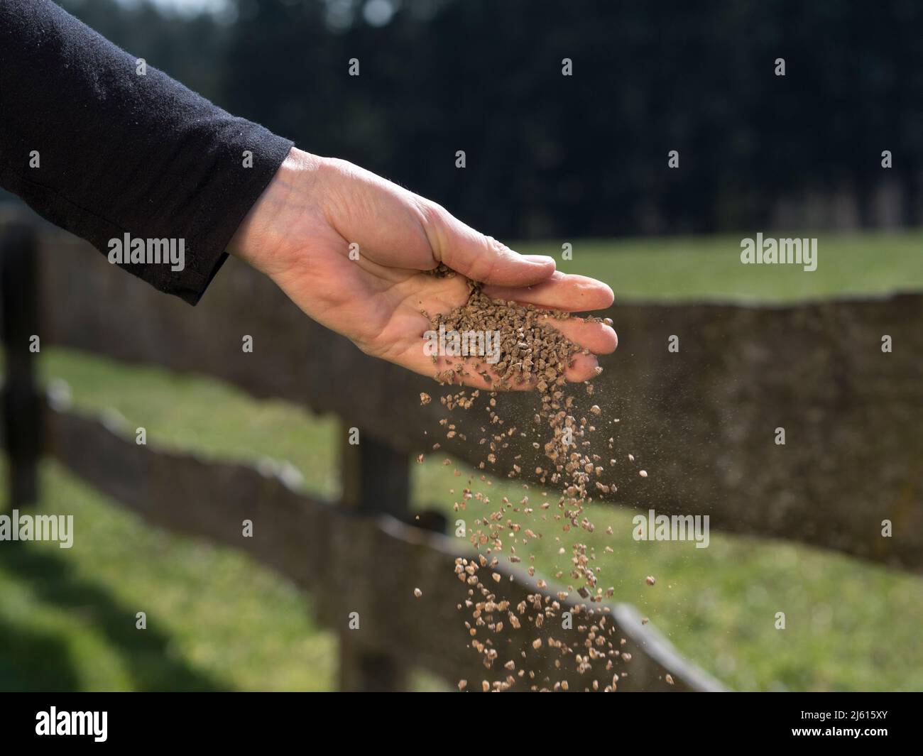 gardeners hand is sowing fertilizer. Important steps to take care of