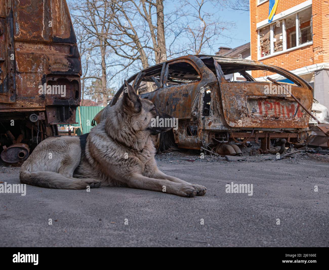 Irpin, Ukraine - April 2022: Burned cars as a result of the bombing of Irpin. Russian military aggression against Ukraine. Missile strike on residential district. Burnt cars on city streets Stock Photo