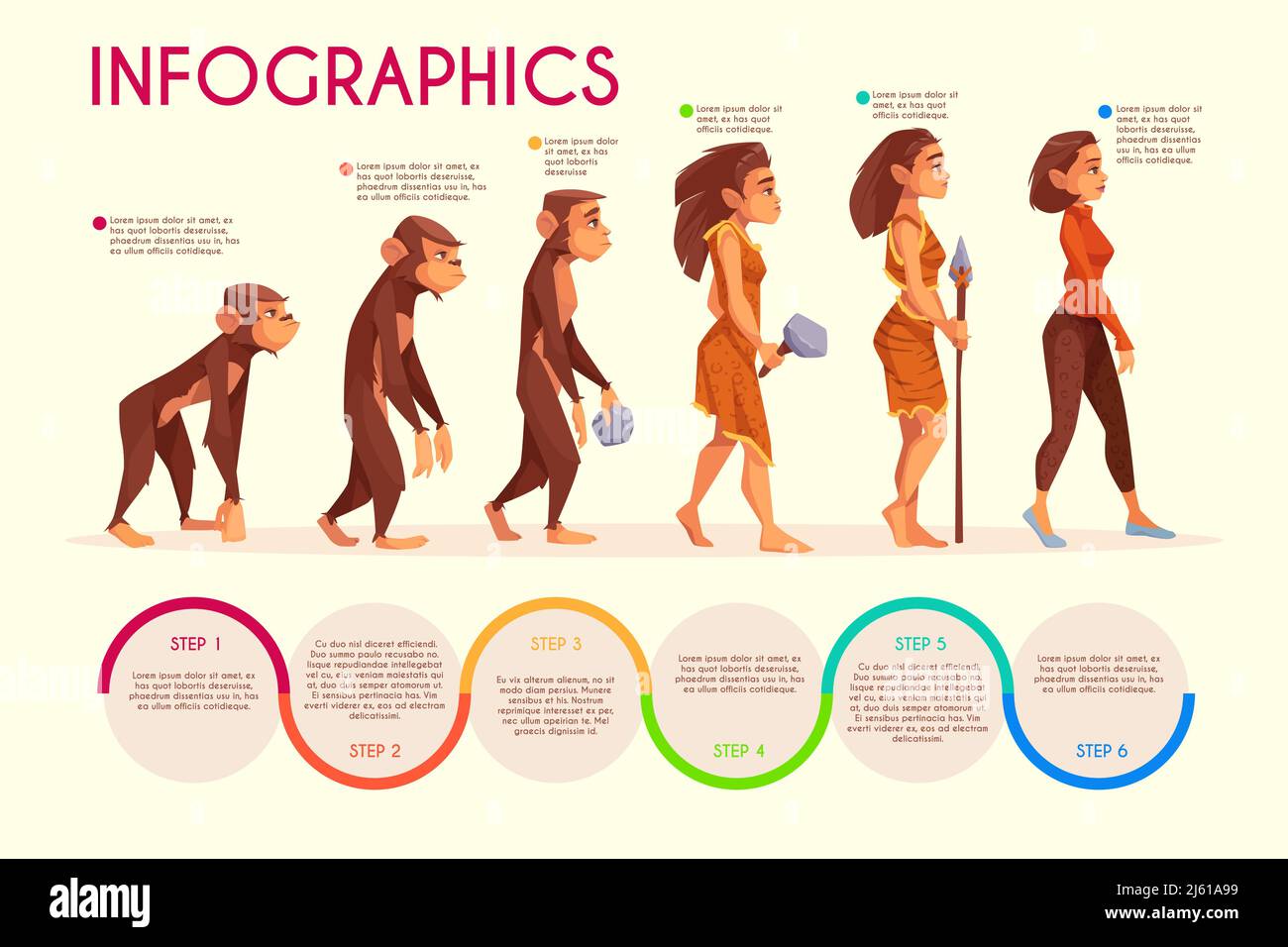 Womens evolution stages cartoon vector infographics. Monkey, female primate walking upright, prehistoric age hunter with stone weapon and modern woman Stock Vector