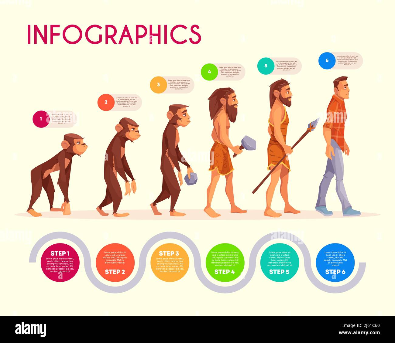 Human ancestor mammal Stock Vector Images Alamy