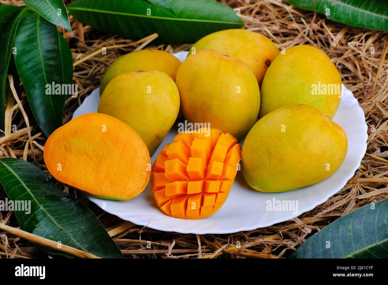 Mango tropical fruit with green leaf, Ripe mango in grass closeup Stock ...