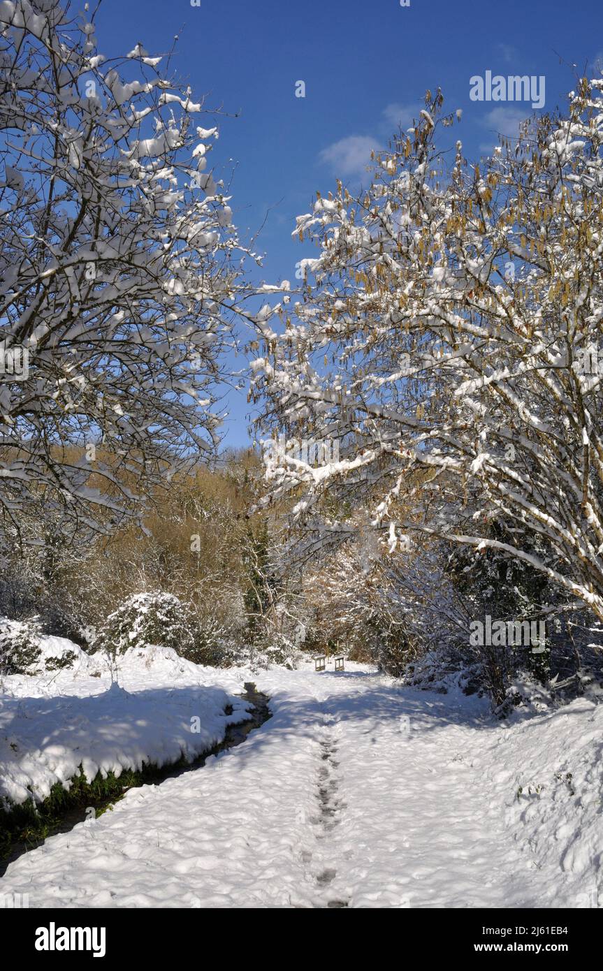 Path under the snow in Brittany Stock Photo Alamy