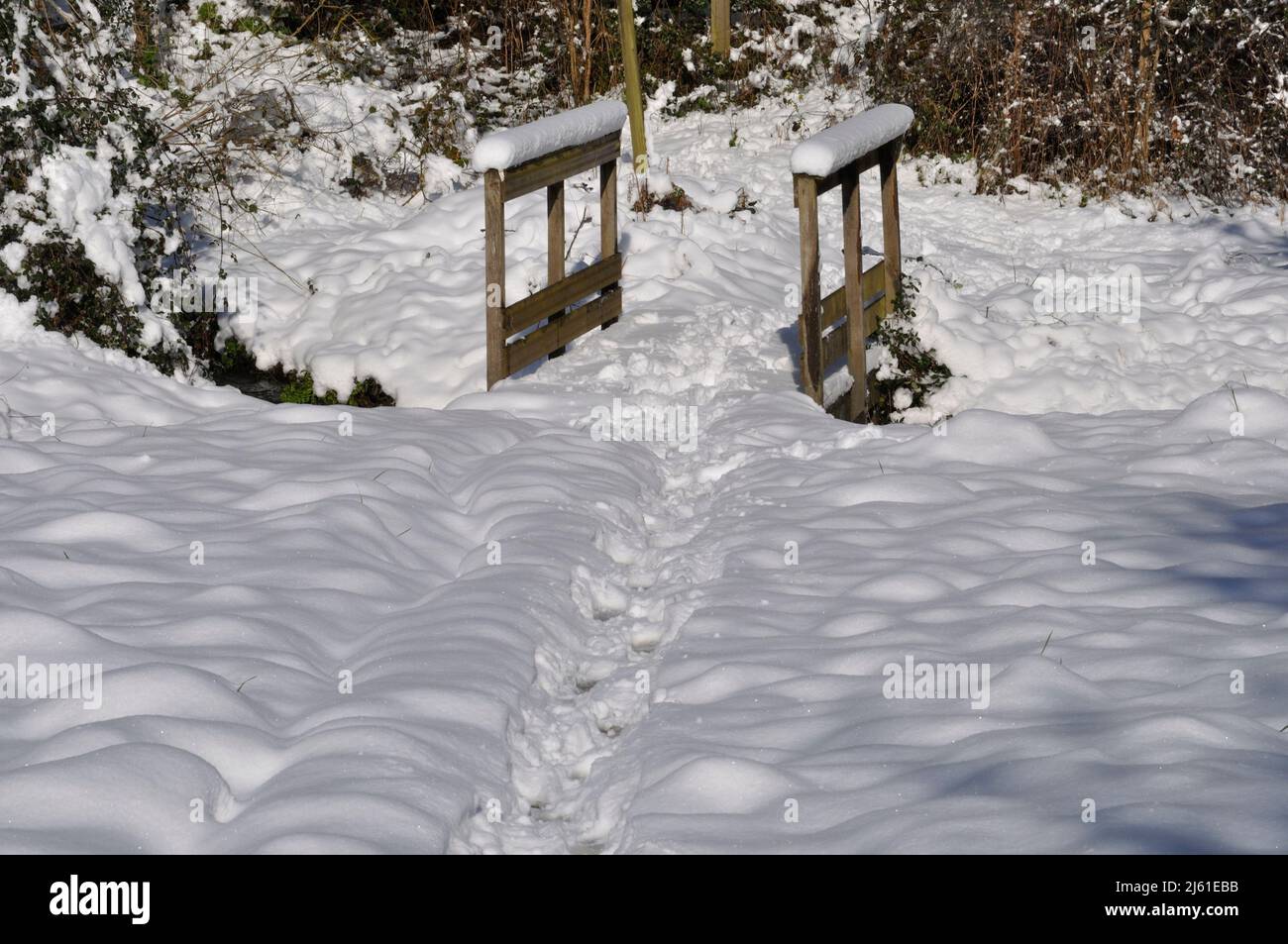 Path under the snow in Brittany Stock Photo Alamy