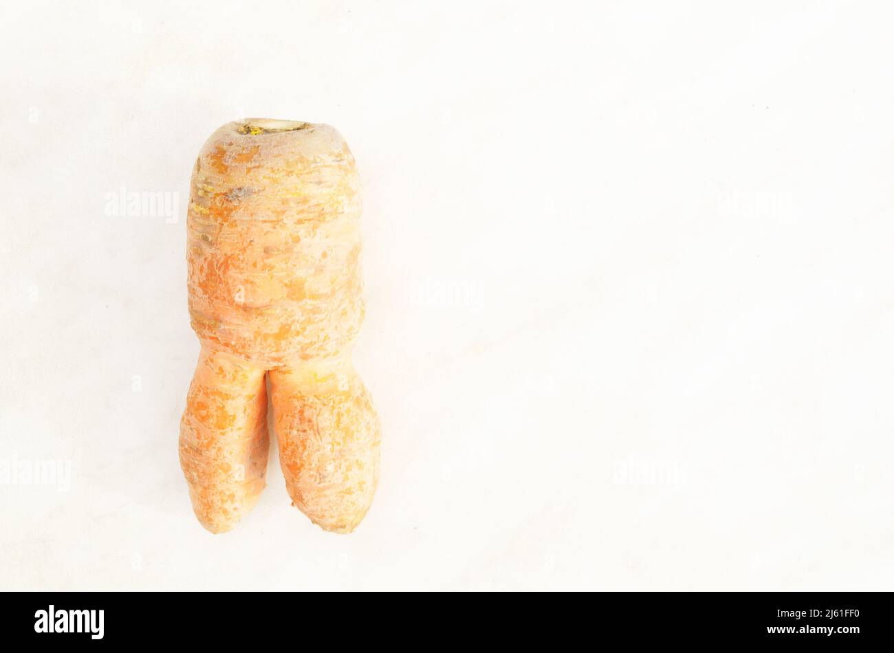 Ugly carrot in in the shape of a little man on white background.Funny, unnormal vegetable or food waste concept. Stock Photo