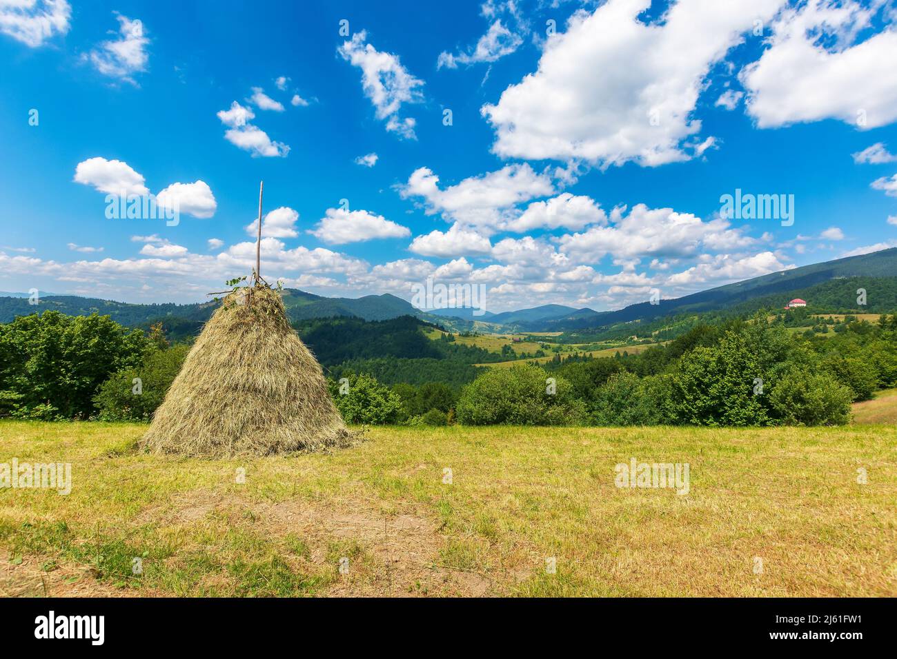 rural landscape in mountains. haystacks on the hill near the forest. sunny weather with clouds on the sky. rustic carpathian scenery in summer Stock Photo