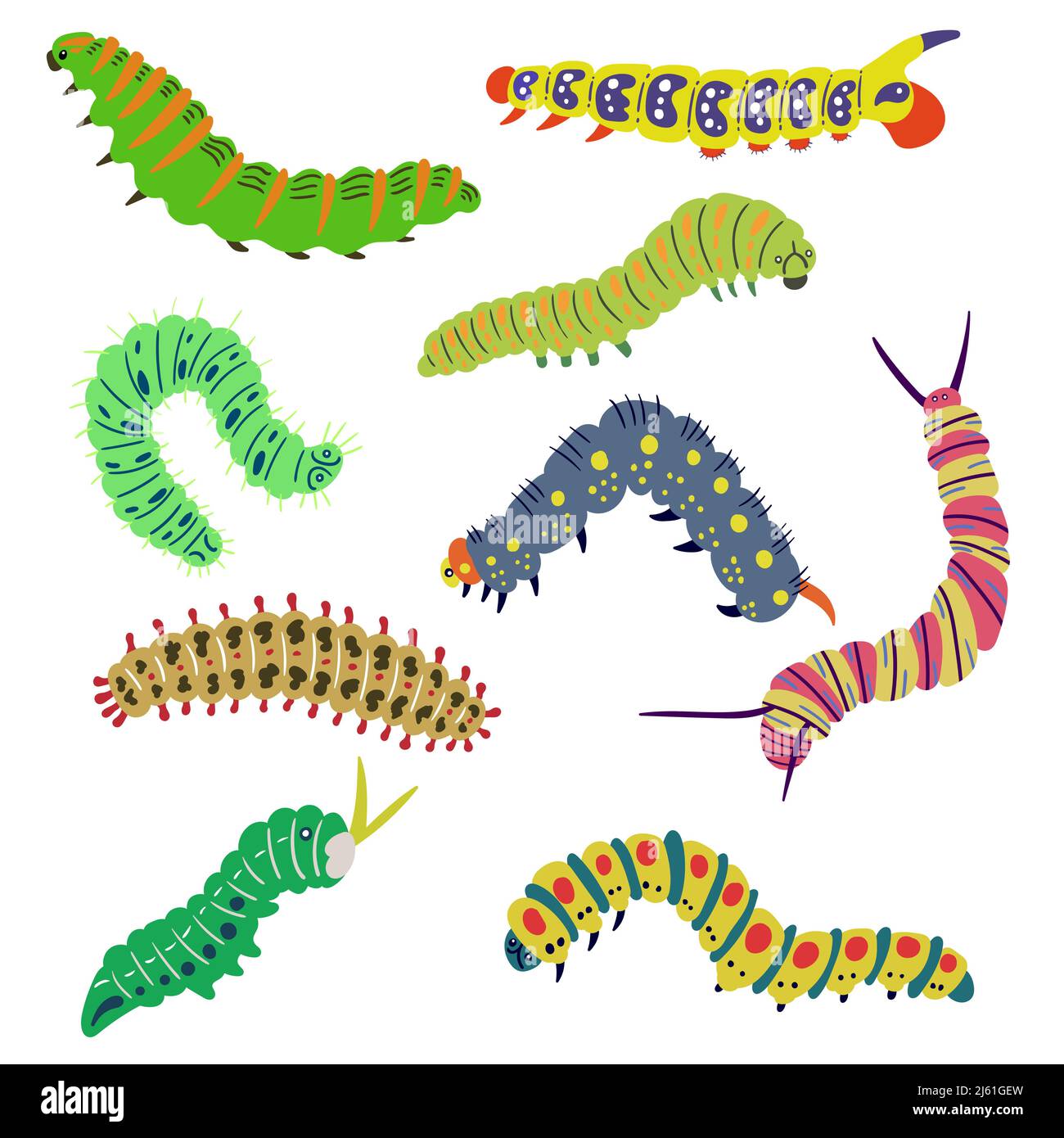 Insect Larvae Caterpillars Set Insect Larvae Caterpillars Moth