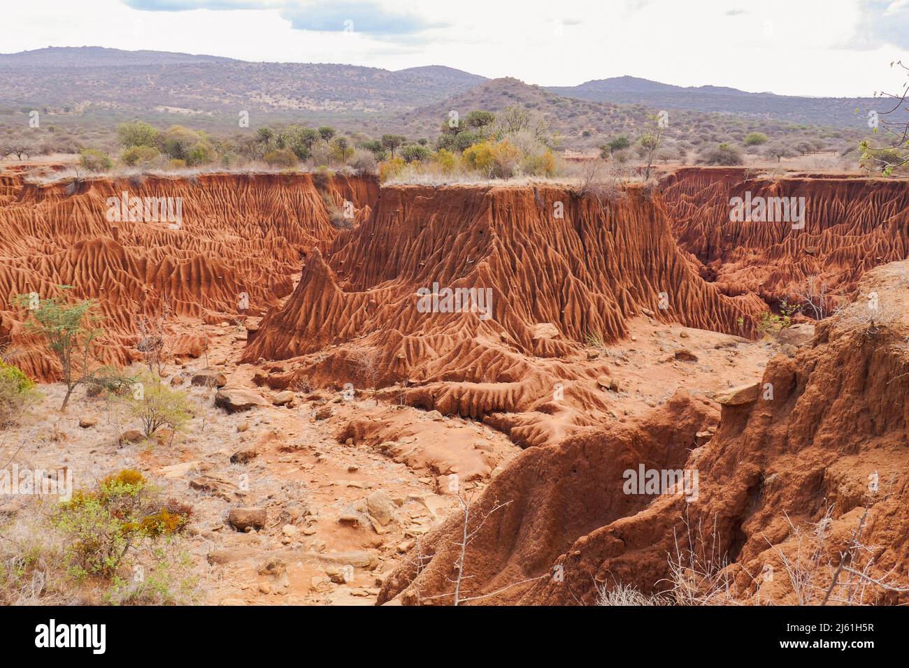 Scenic view of Ol Jogi Canyons in Nanyuki, Kenya Stock Photo