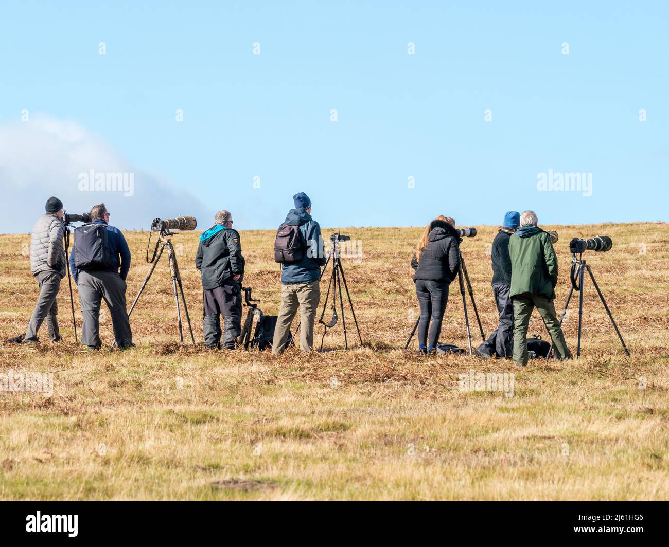 Wildlife photographers with tripods and long lenses photographing wildlife in Bradgate Park, Leicestershire, England UK Stock Photo