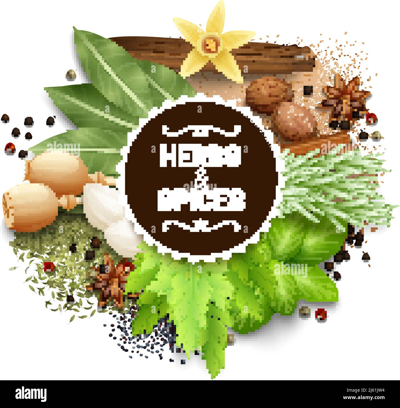 Illustration of set with different types of herbs and spices vector