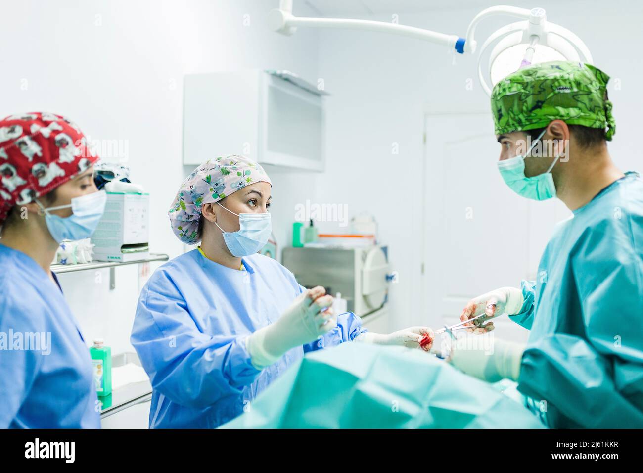 Veterinarian with healthcare workers talking at veterinary clinic Stock