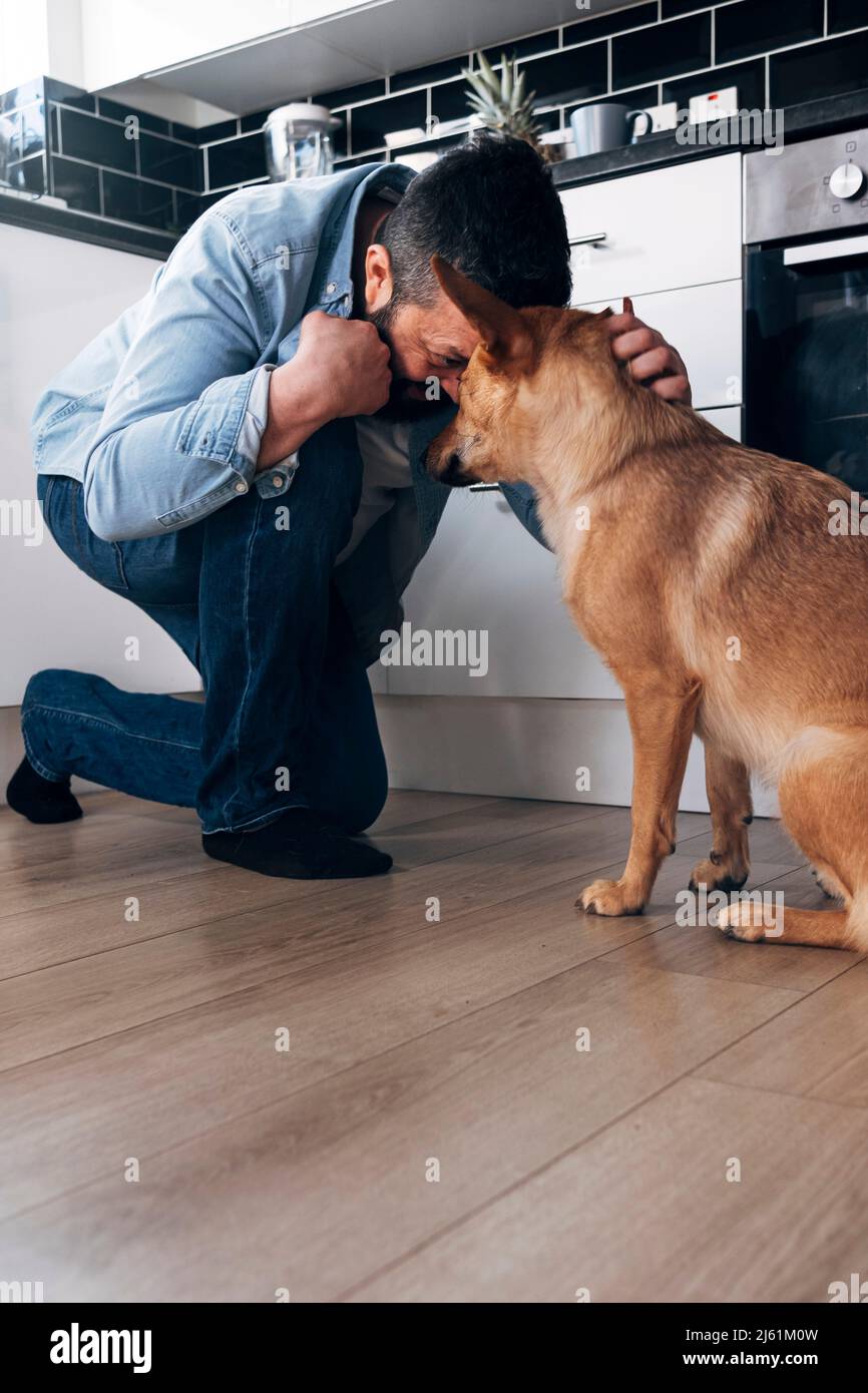 Playful man embracing dog in kitchen at home Stock Photo Alamy