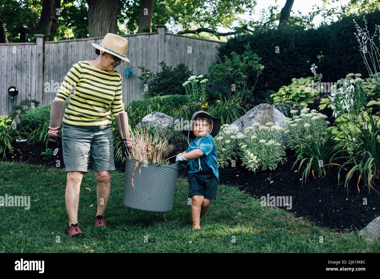 Grandmother with grandson carrying basket of plant together in garden Stock Photo