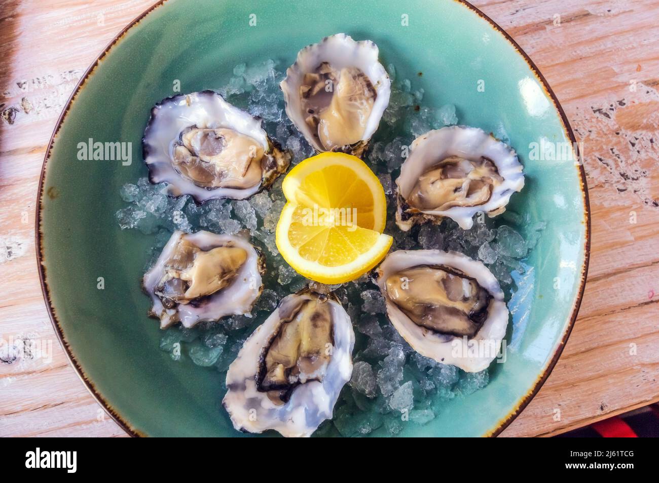 Plate of fresh ready-to-eat oysters Stock Photo