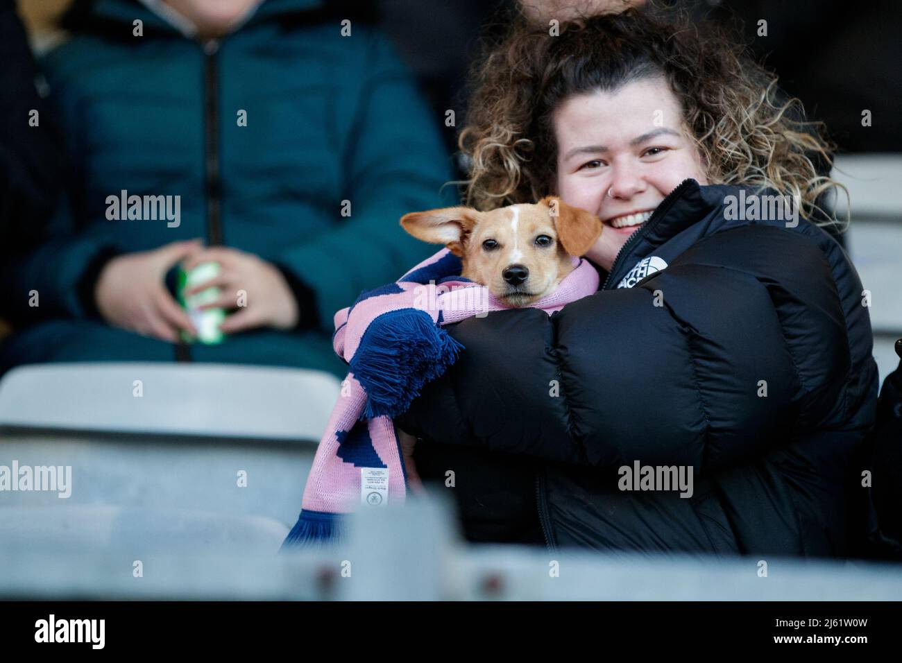 A woman holding her dog wearing a pink and blue scarf at Dulwich Hamlet Stock Photo