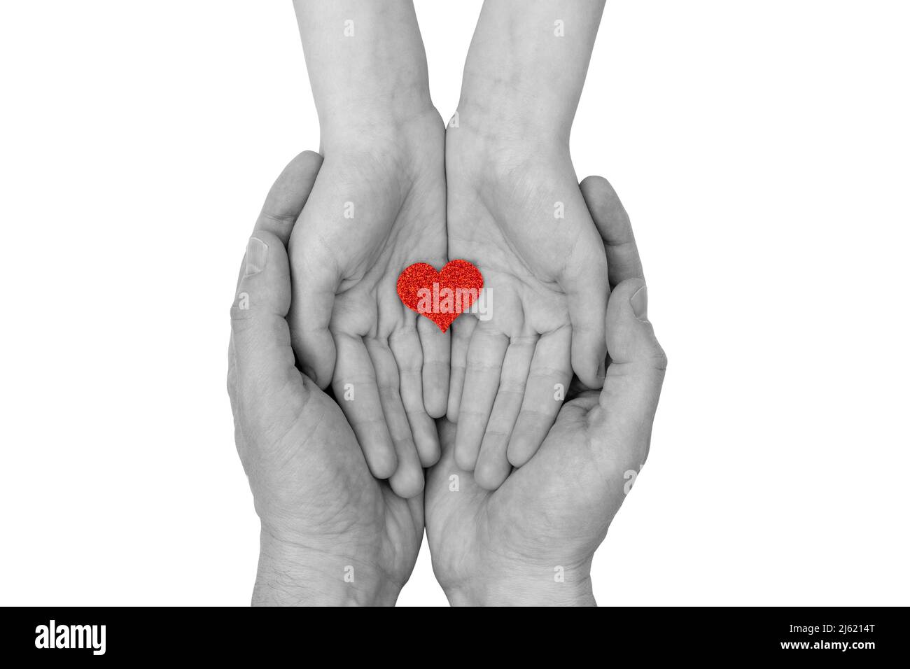 Family holding small red heart in hands. Care and love, health care ...