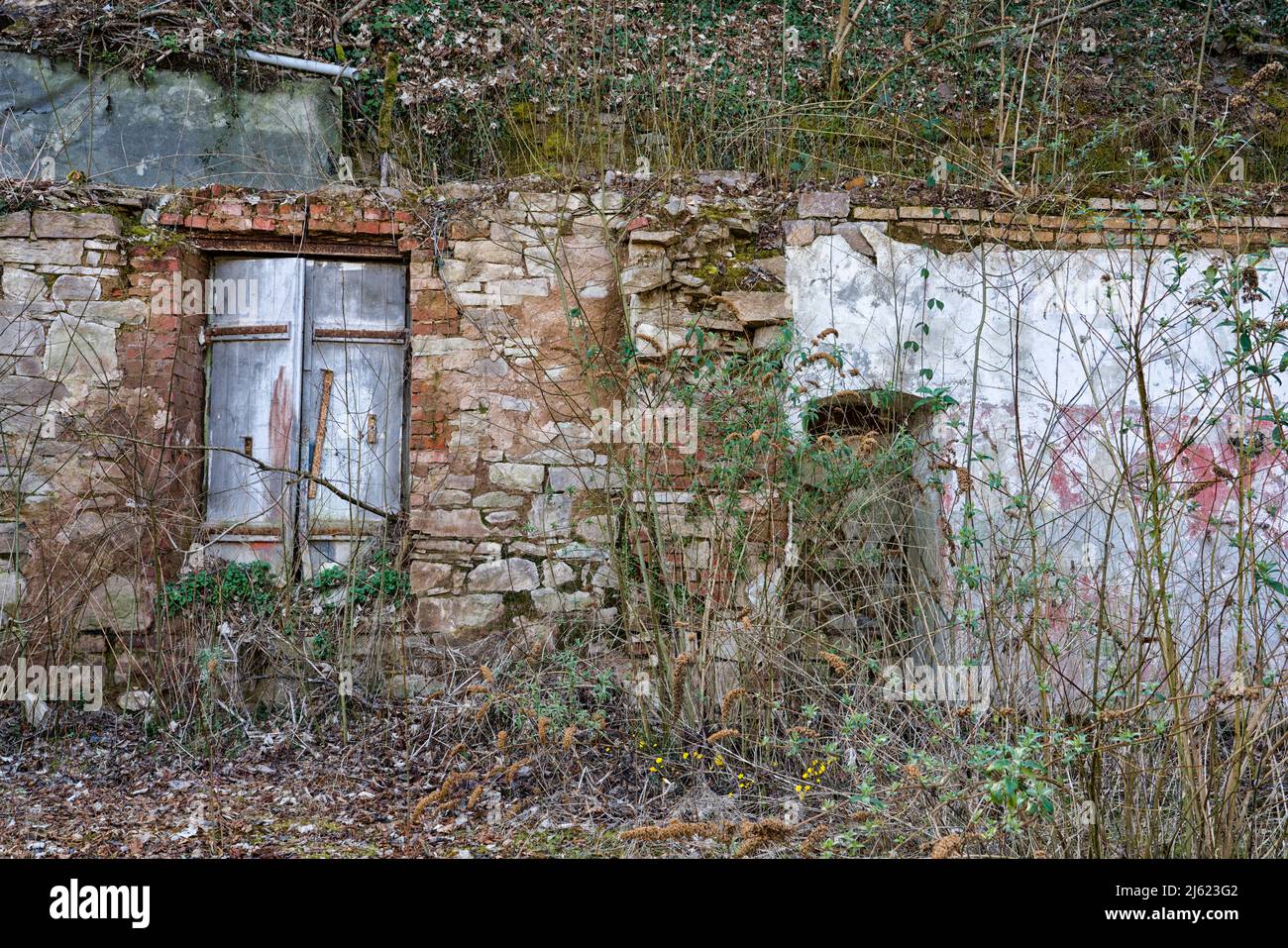 Remains of a house, Germany, Europe Stock Photo