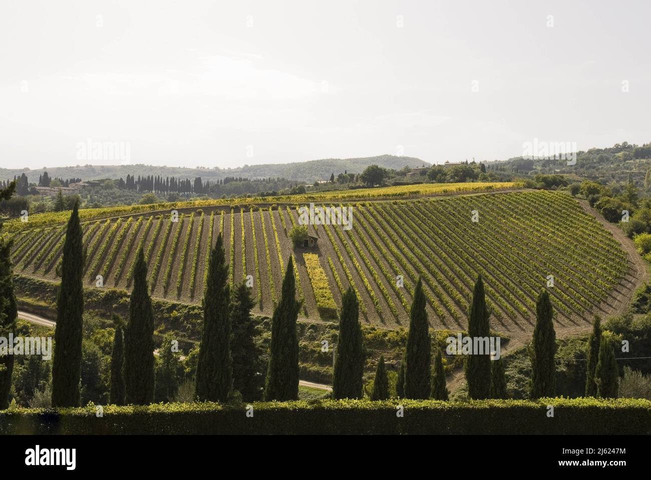 Italy, Tuscany, Montalcino (Siena), Colle al Marchese, Conti Costanti  Winery, panoramic view   Photo © Sandro Michahelles/Sintesi/Alamy Stock Photo Stock Photo