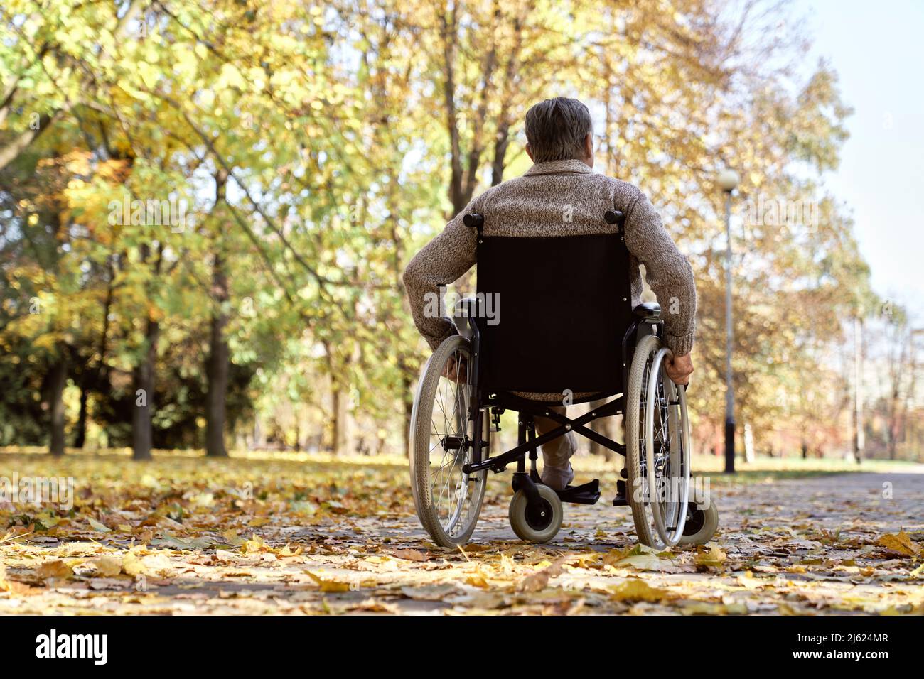Senior wheelchair outdoors hi-res stock photography and images - Alamy