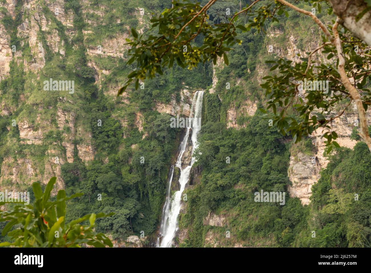 Ho District, Volta Region. Upper Wli Waterfall. Stock Photo