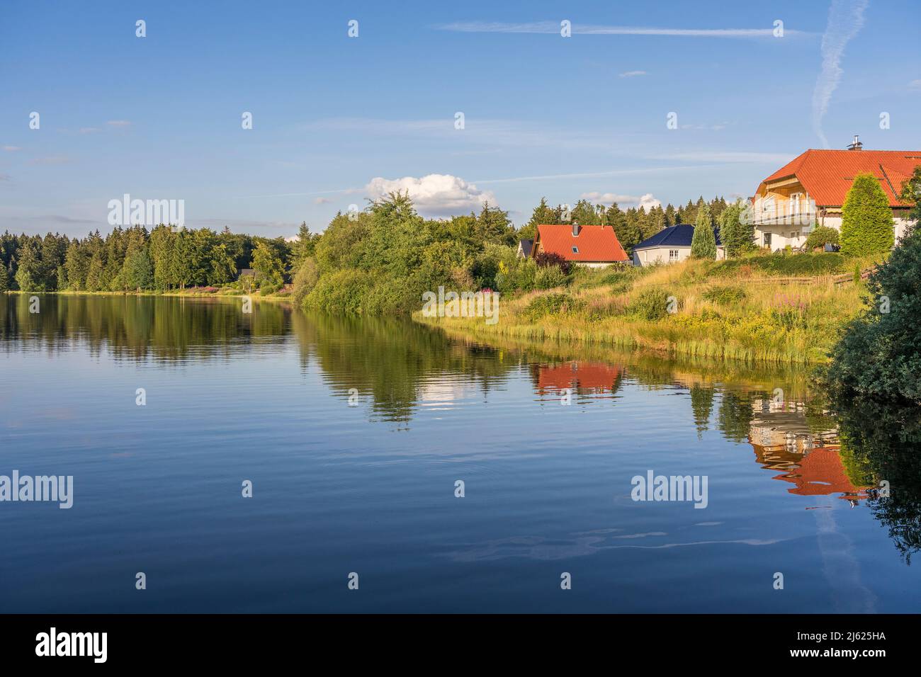 Germany, Lower Saxony, Clausthal-Zellerfeld, Houses on shore of Oberer Hausherzberger Teich Stock Photo