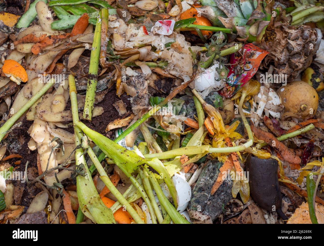 Organic waste on a compost in the garden Stock Photo