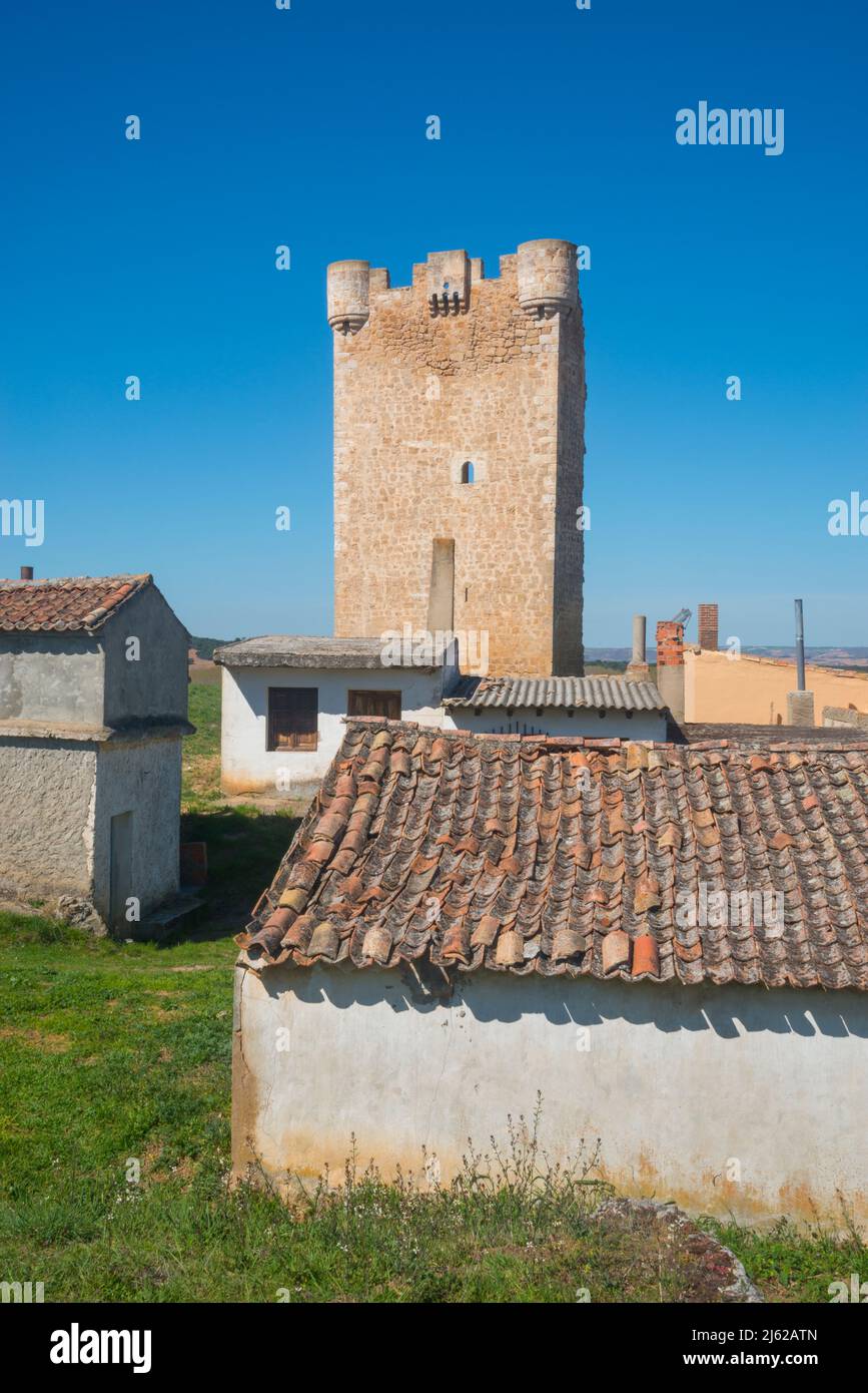 Traditional wine cellars and Hoyales Tower. Hoyales de Roa, Burgos province, castilla leon, Spain. Stock Photo