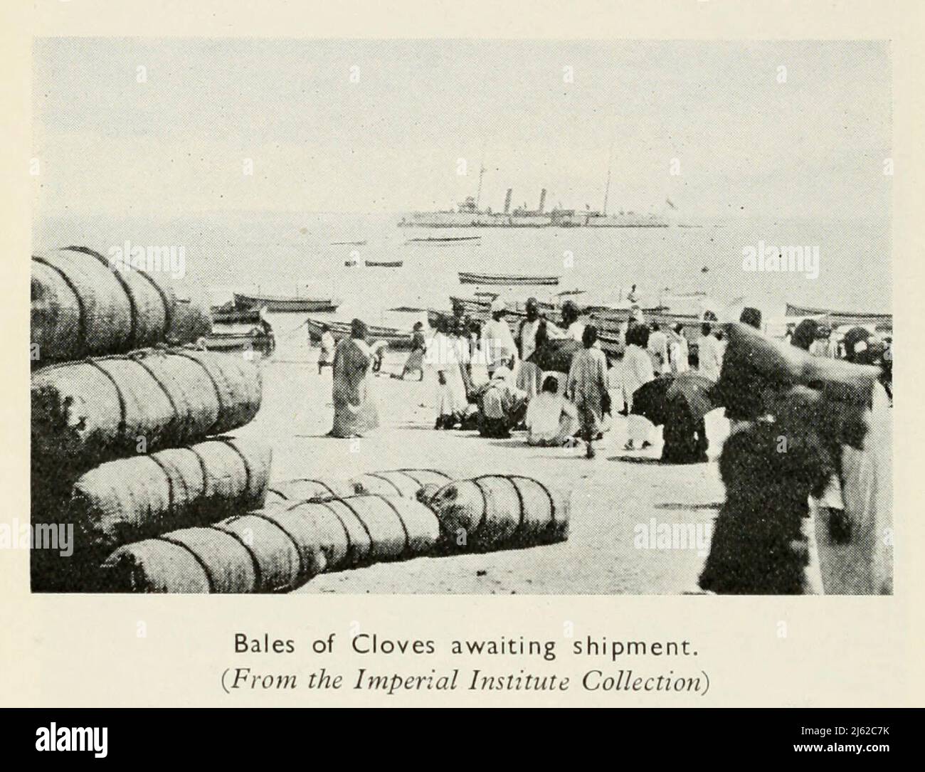 Bales of Cloves awaiting shipment from the book ' The romance of Empire drugs ' Published in London by the Scientific Department at Stafford Allen and Sons, Ltd Stock Photo