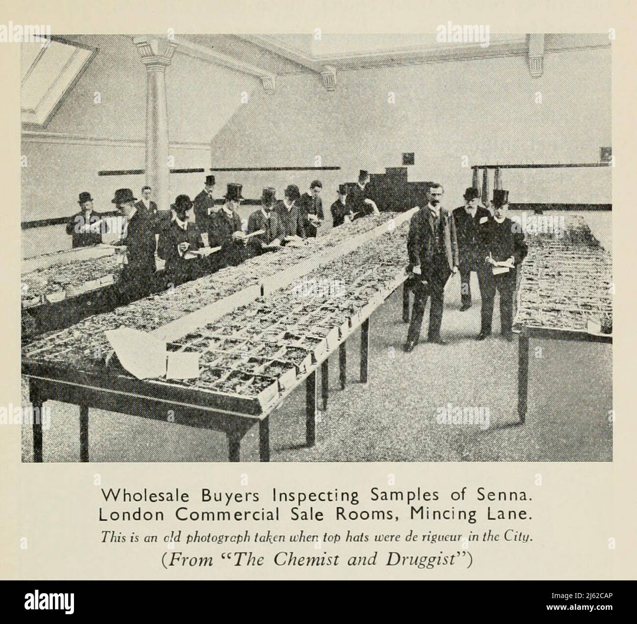Wholesale Buyers Inspecting Samples of Senna. London Commercial Sale Rooms, Mincing Lane (This is an old photogrcph taken when top hats were de rigueur in the City.) from the book ' The romance of Empire drugs ' Published in London by the Scientific Department at Stafford Allen and Sons, Ltd Stock Photo