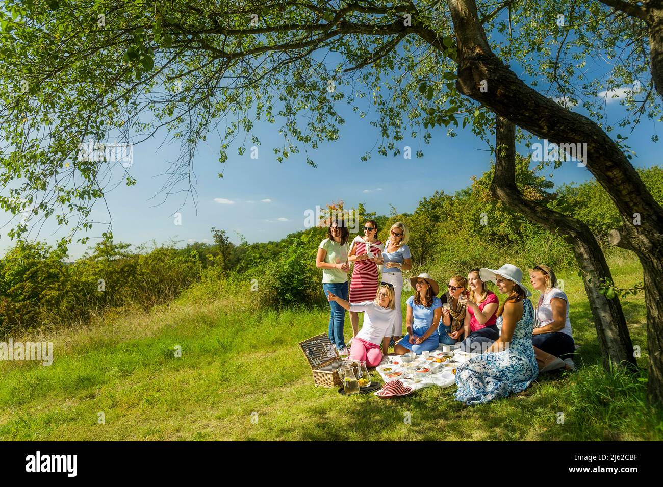 group of woman having a picnic on the summer meadow under the tree Stock Photo