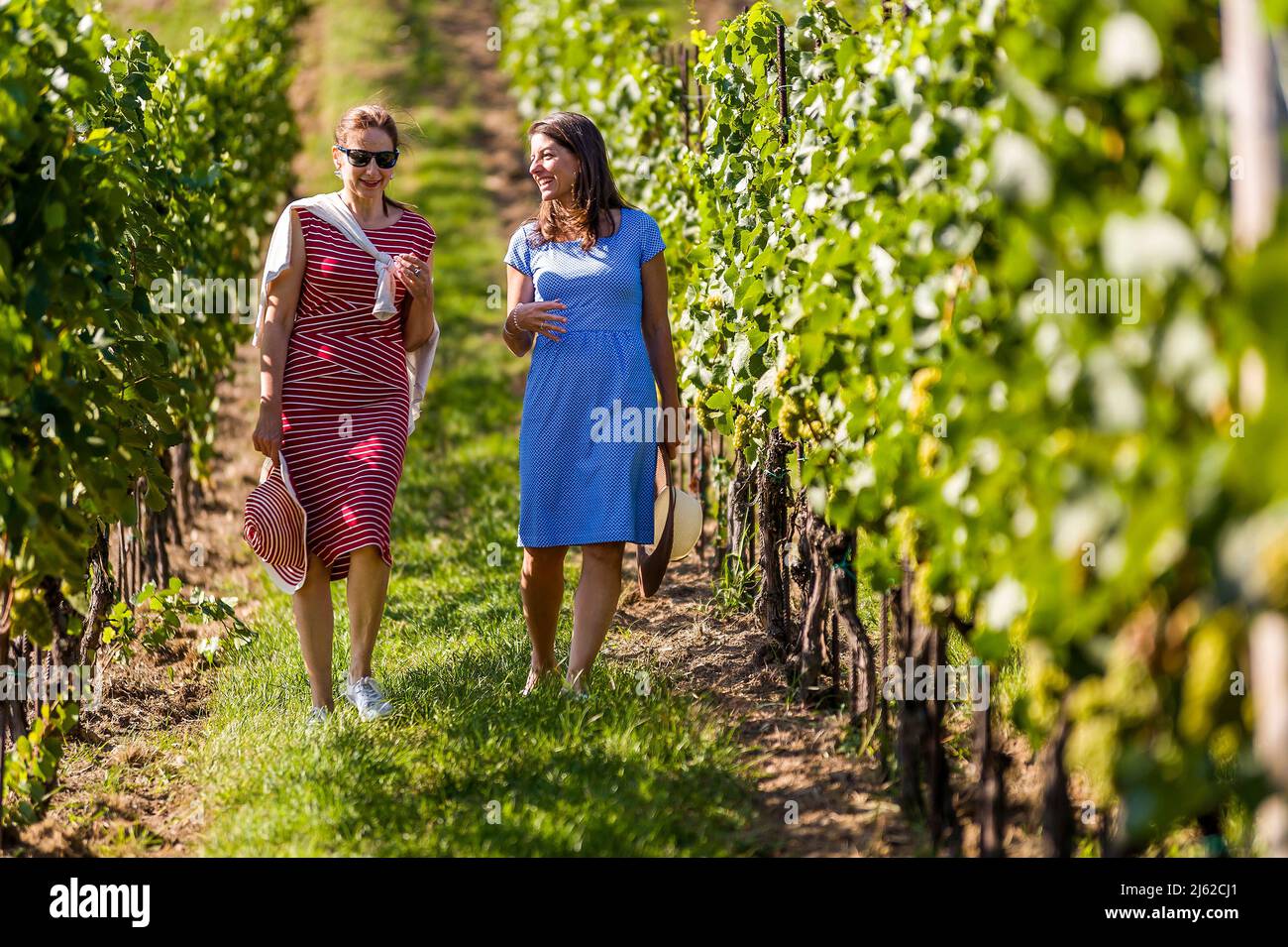 two women strolling in summer vineyard Stock Photo