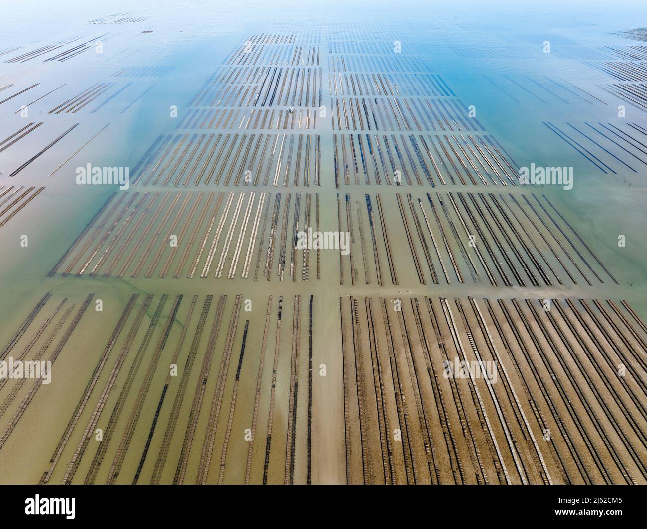 Oyster farming at Grandcamp Maisy, Normandy, aerial view Stock Photo