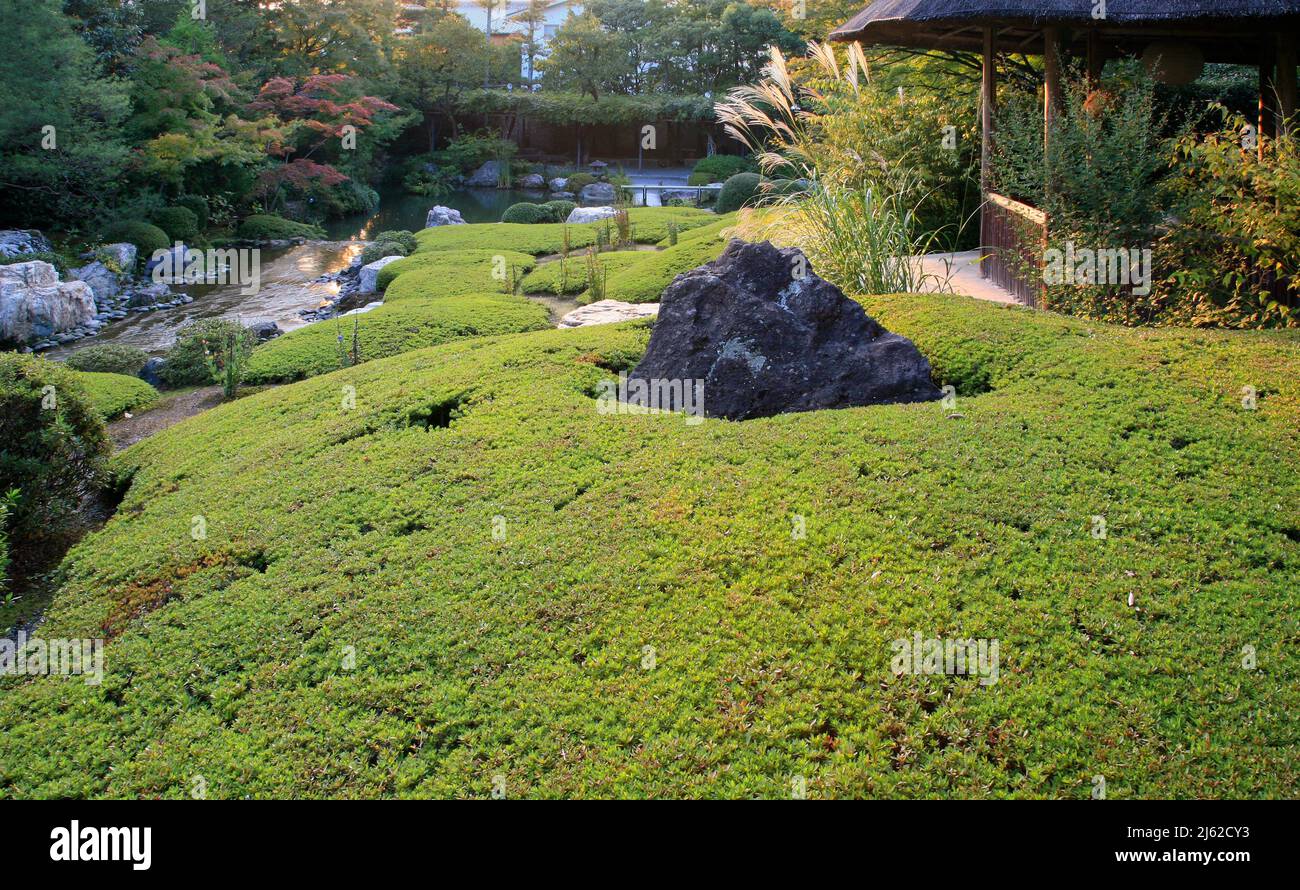 A new pond garden or yoko-en with rocks and evergreen azaleas at Taizo-in temple. Kyoto. Japan Stock Photo