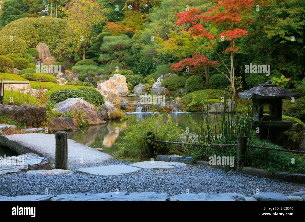A new pond garden or yoko-en of Taizo-in temple with a stream that cascades around rocks and azaleas carpet. Kyoto. Japan Stock Photo