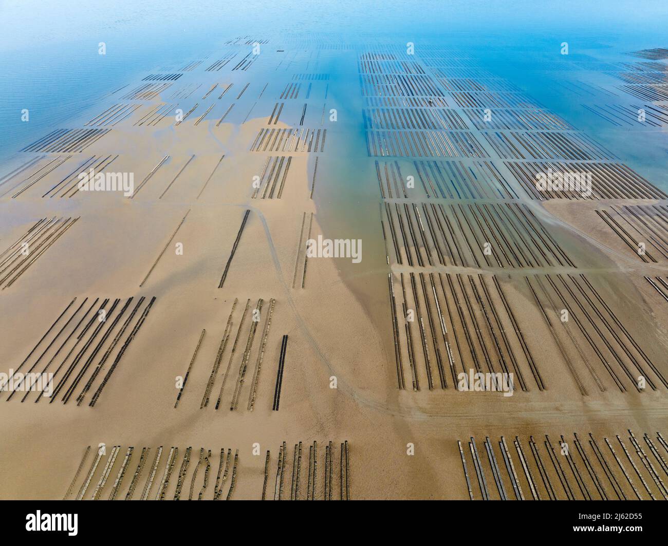 Oyster farming at Grandcamp Maisy, Normandy, aerial view Stock Photo