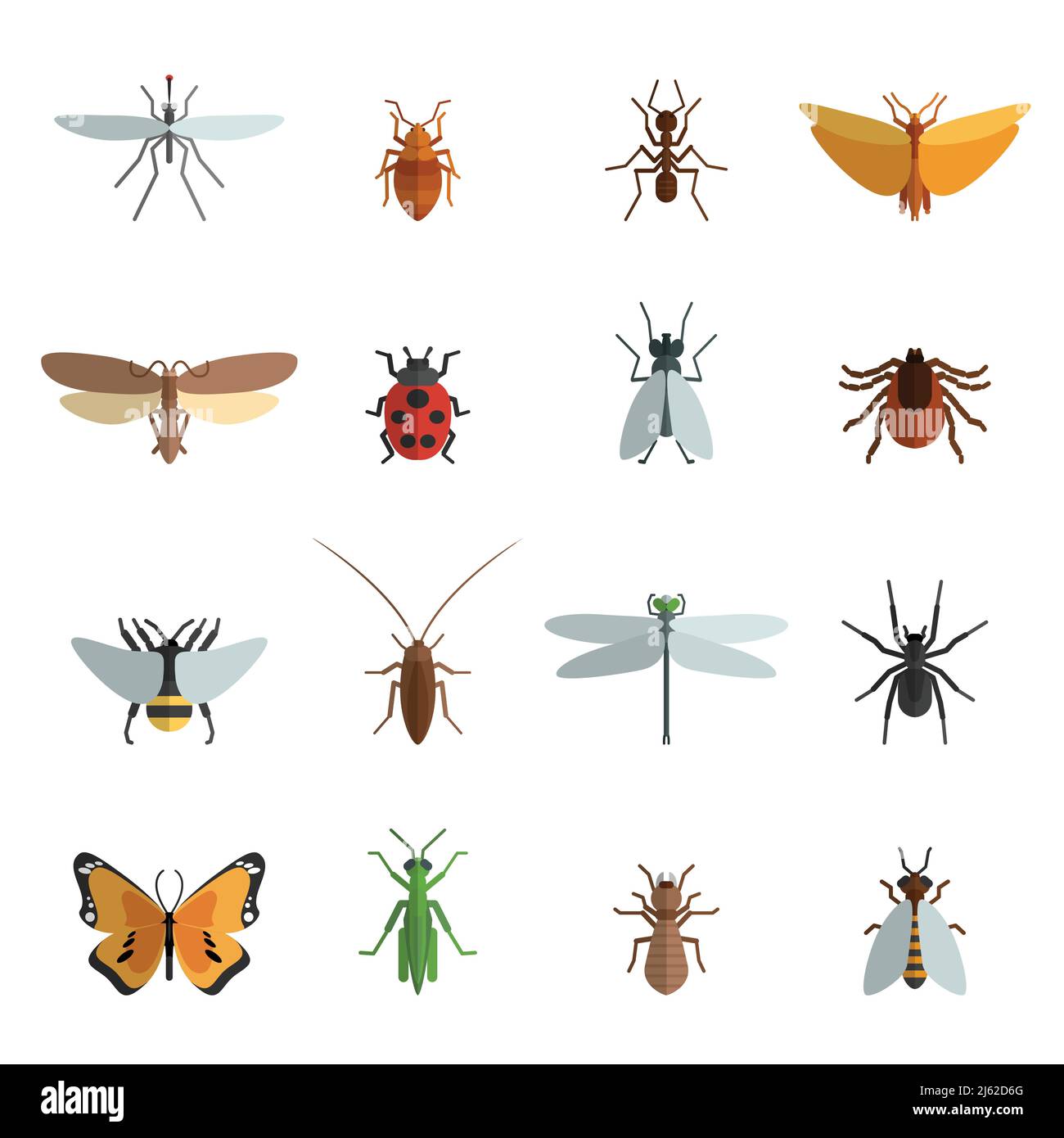 Insect icon flat set with mosquito grasshopper spider ant isolated ...