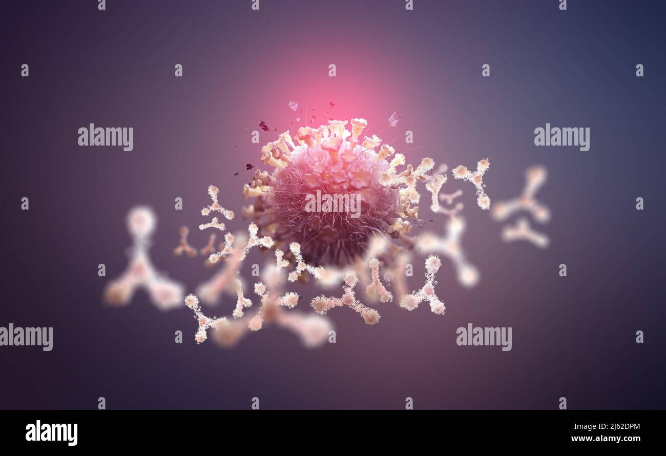 Virus protection. Antibodies and viral infection. Immune defense of the