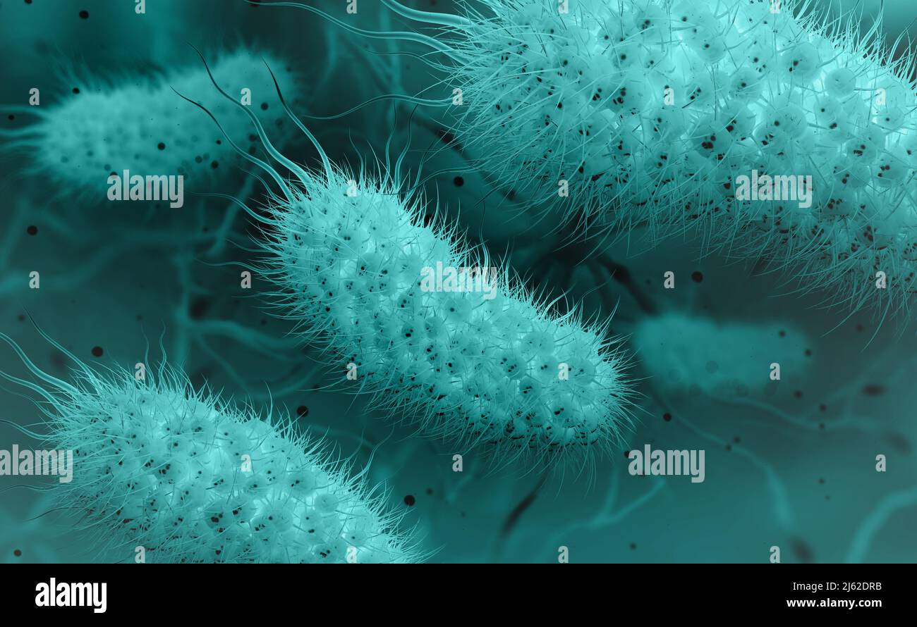 Microorganisms under microscope. Microbes, germs, bacteria, viruses, infection, bacilli 3D illustration. Probiotics. Intestinal bacteria, Gut flora Stock Photo