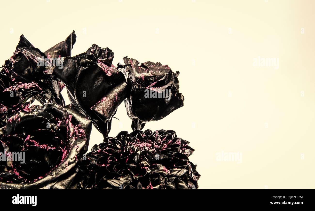 Black bunch of burned natural flowers isolated on white copy space