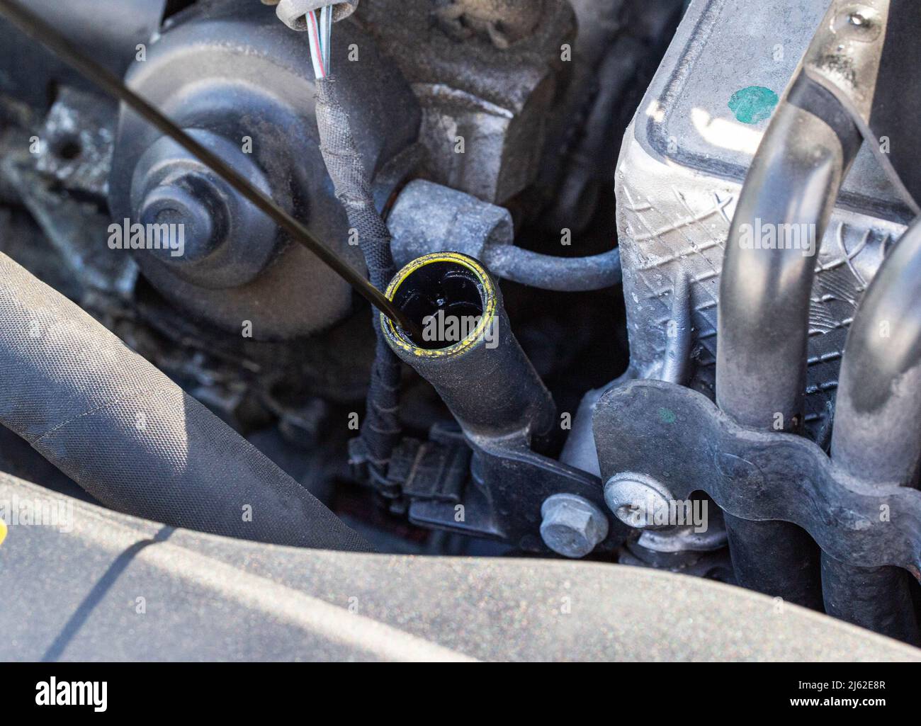 Oil dipstick in a diesel engine. Engine breakdown from low oil level