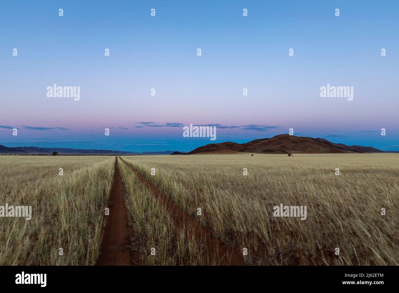 Tweespoorpaadjie in dry grass to the blue sky after sunset Namib Desert Namibia Stock Photo