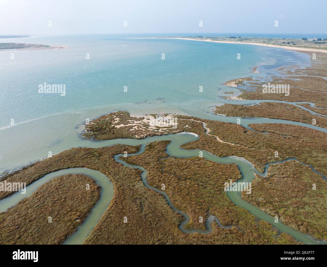 Salt marsh in Havre de St Germain sur Ay bay at high tide, spring