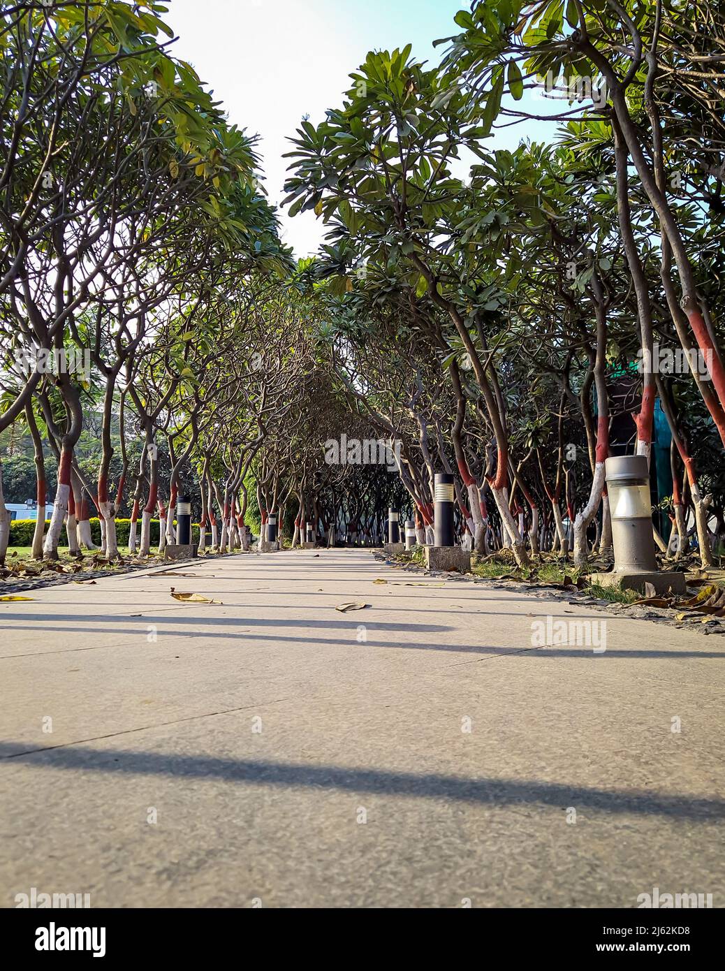 isolated road with many tree at the edge from flat angle image is taken at buddha park patna bihar india on Apr 15 2022. Stock Photo