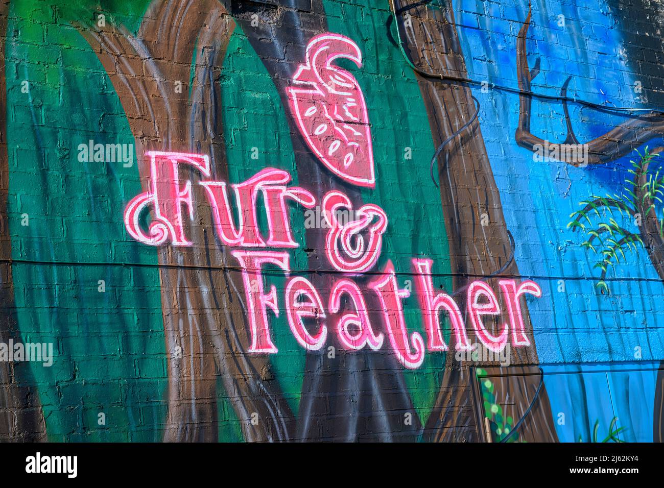 The Cattle Market, Melton Mowbray, Leicestershire The Stockyard Fur