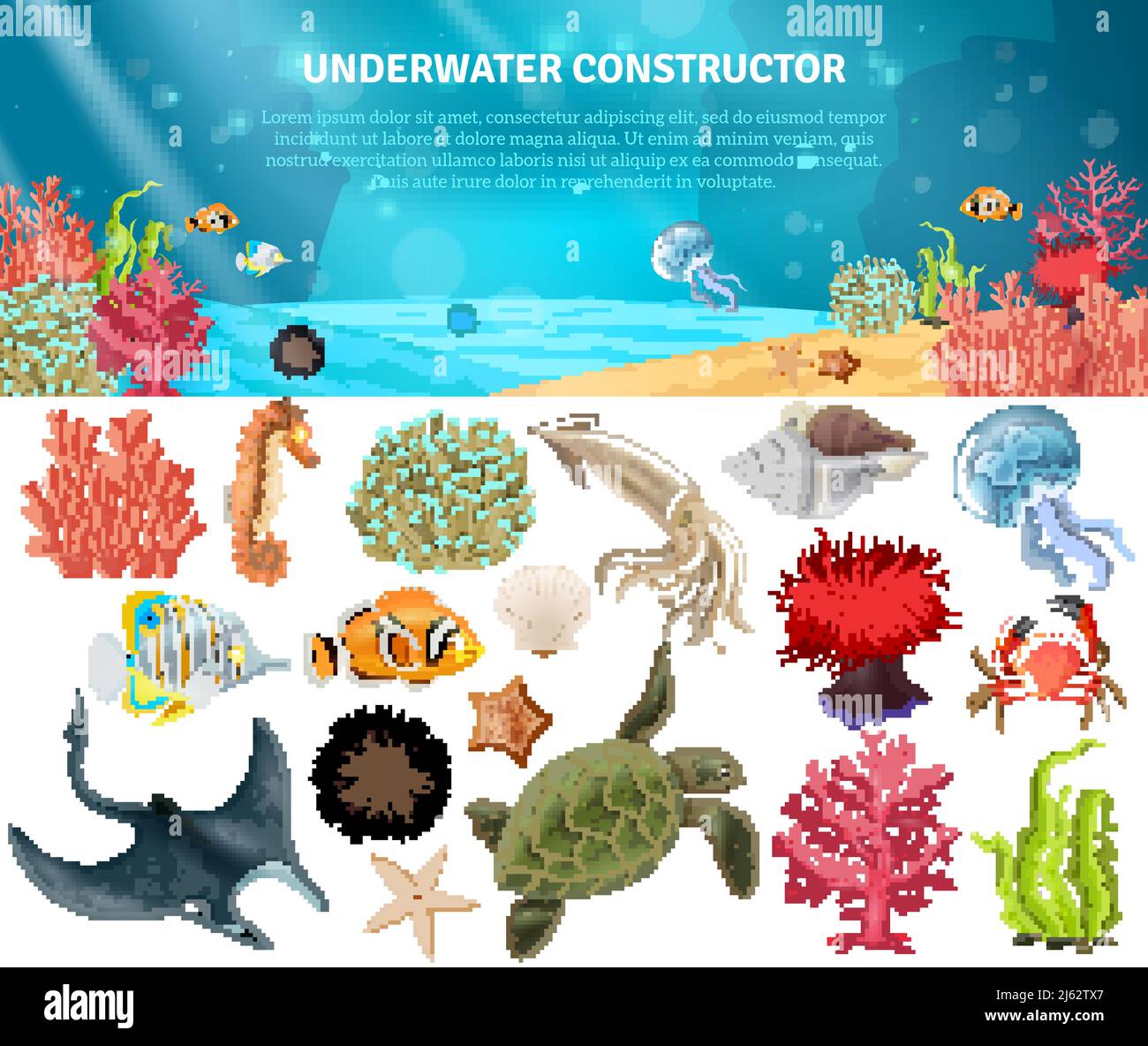 Sea life animals plants and landscape cartoon icons constructor set vector illustration Stock Vector